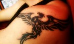 My New tattoo - the Phoenix